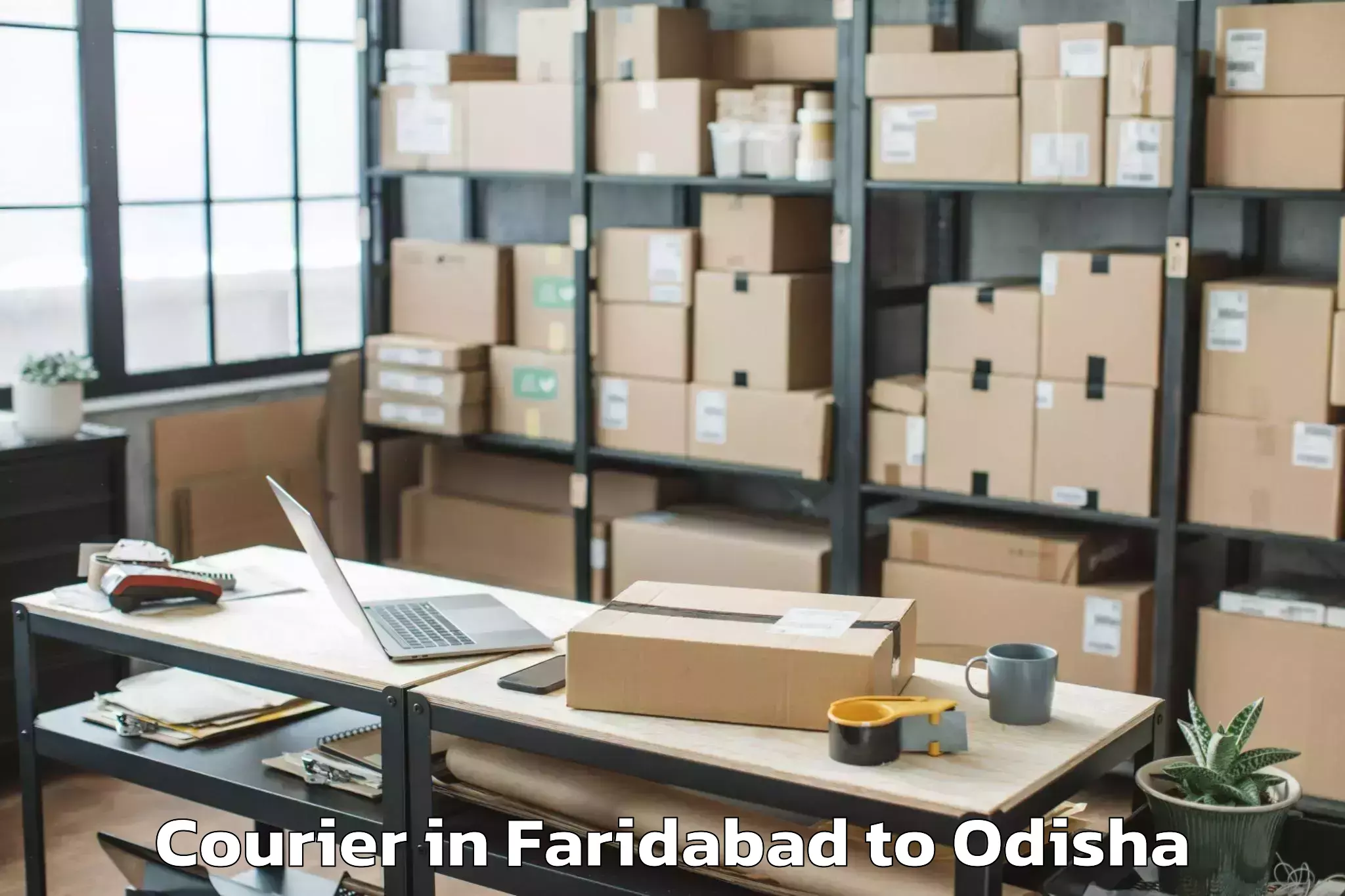 Book Faridabad to Athagad Courier Online